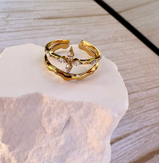 Ring Korali